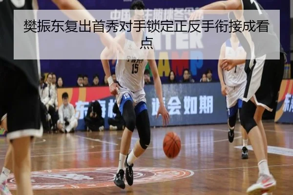 樊振东复出首秀对手锁定正反手衔接成看点（hth）